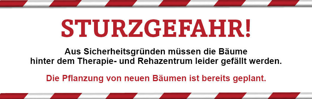 Baumfällung wegen Sturzgefahr!